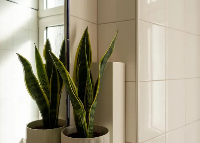 Dahlem Hideaway Berlin